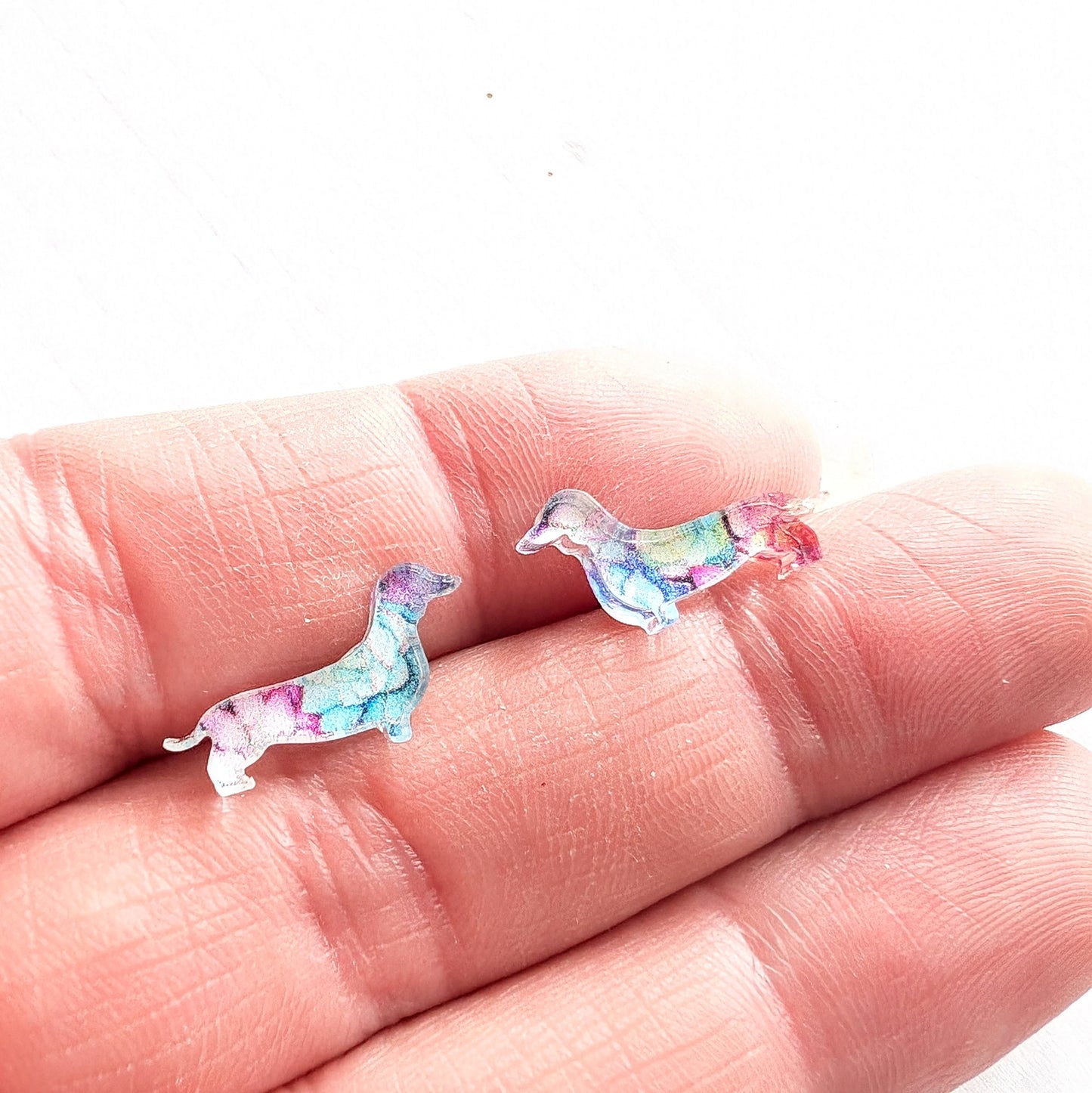 Sausage dog Studs