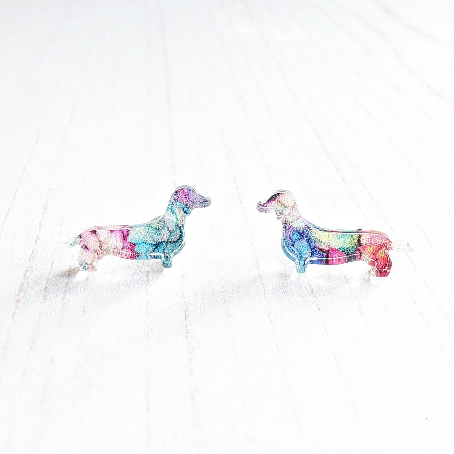 Sausage dog Studs