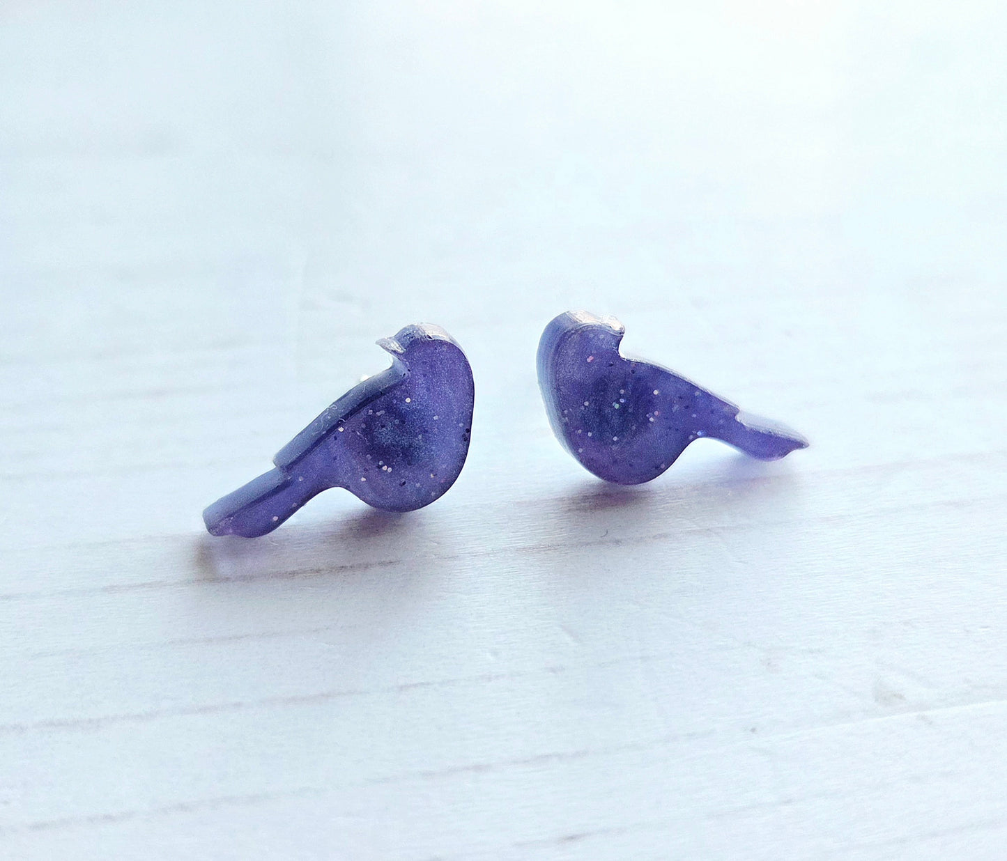 Bird studs, nebula galaxy