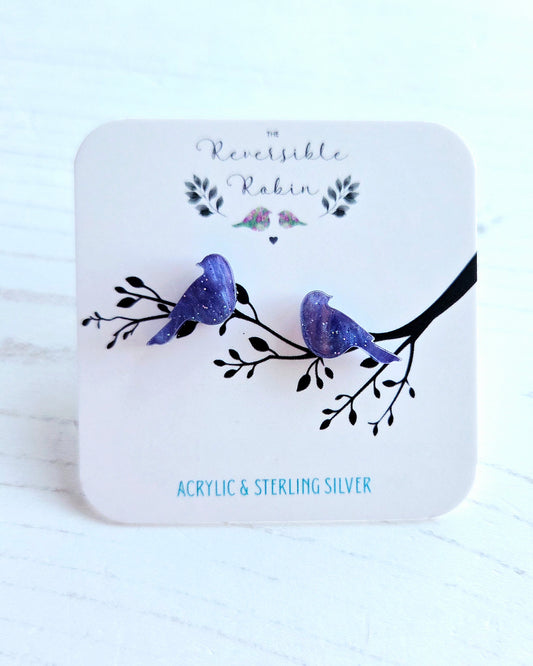 Bird studs, nebula galaxy