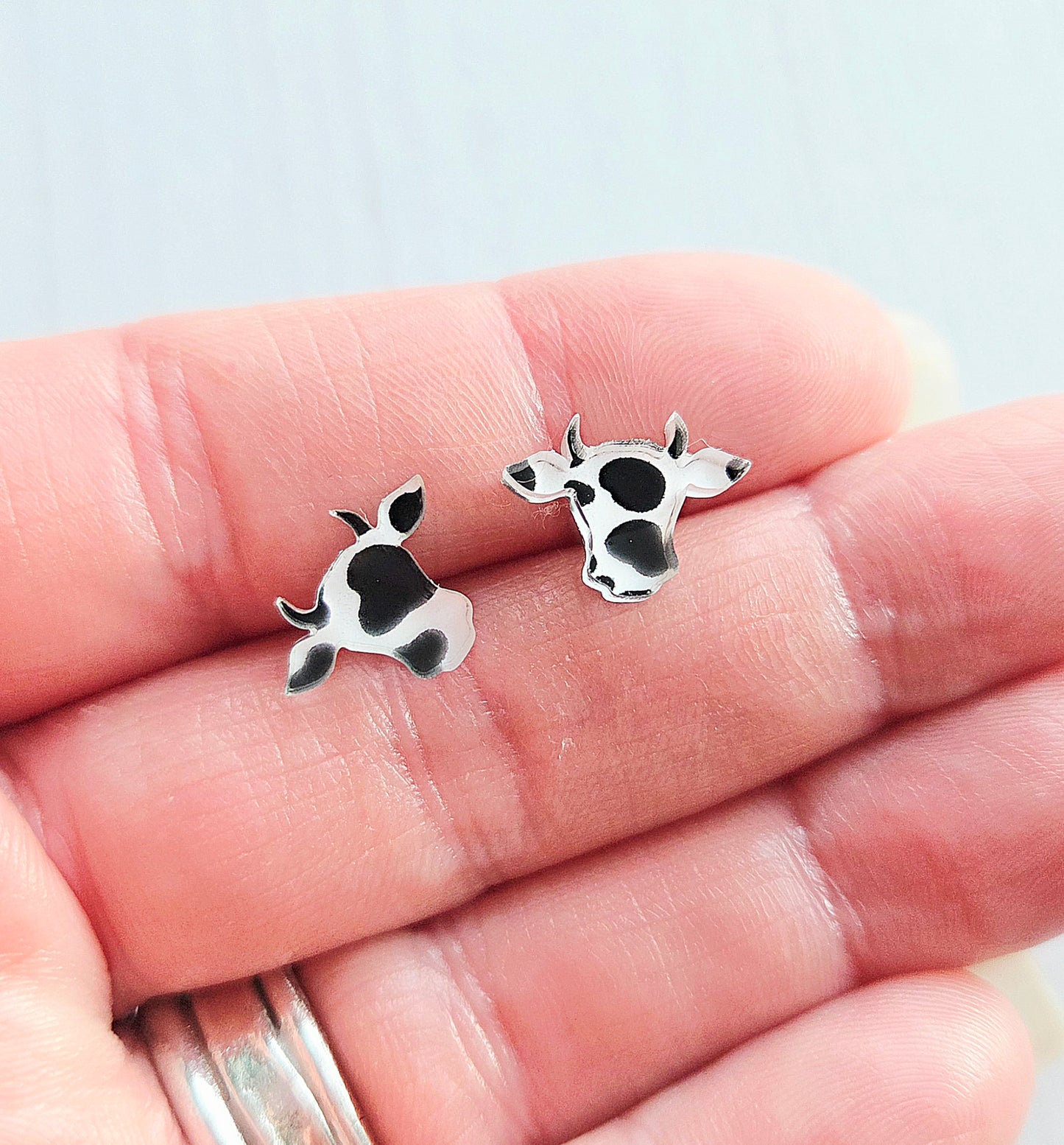 Cow studs with horns